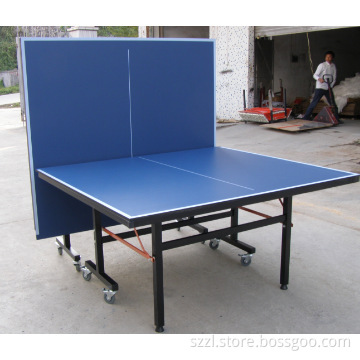 Indoor Table Tennis Table